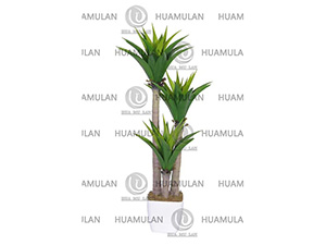 (150CM)