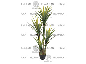 (150CM)