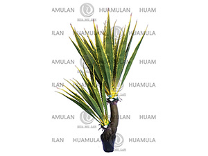 (39-200CM)