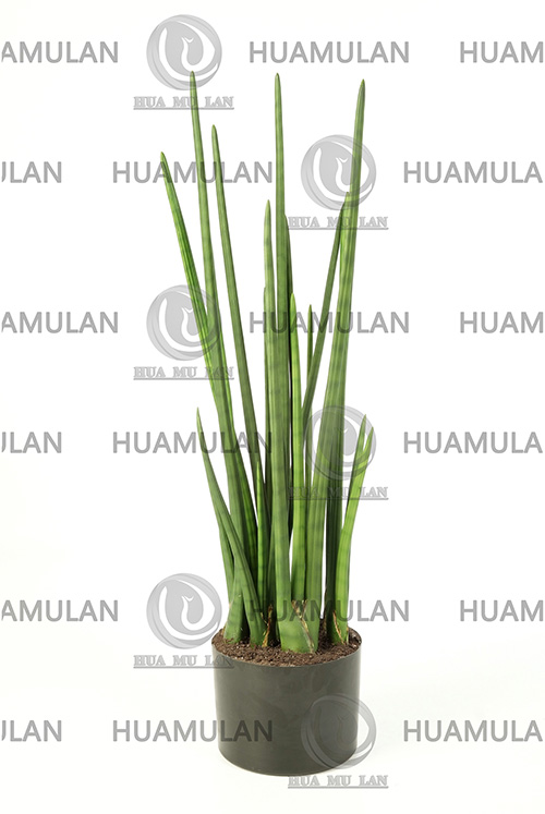 (90CM)