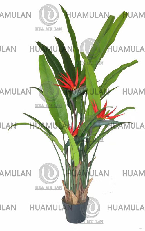 688403-BIRD-OF-PARADISE-(170CM)