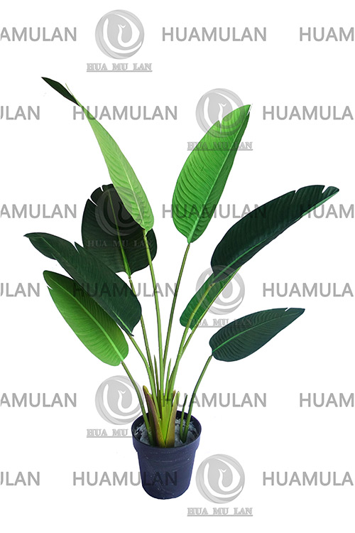 688501-TRAVELLE'S-TREE(8-120CM)