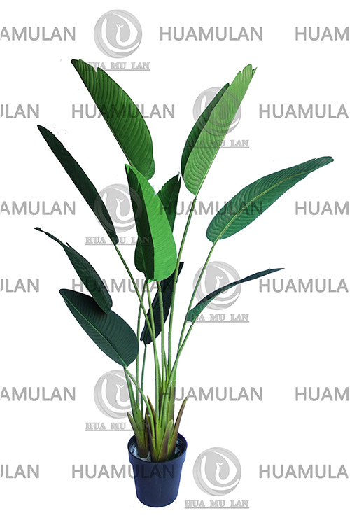 688502-˽-(10-160CM)