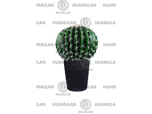 638202-(1-38CM)
