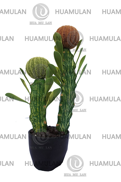 -(2-30CM)