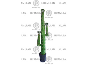 -(3-158CM)