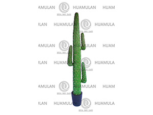 -(3-178CM)