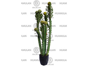 -(13-130CM)