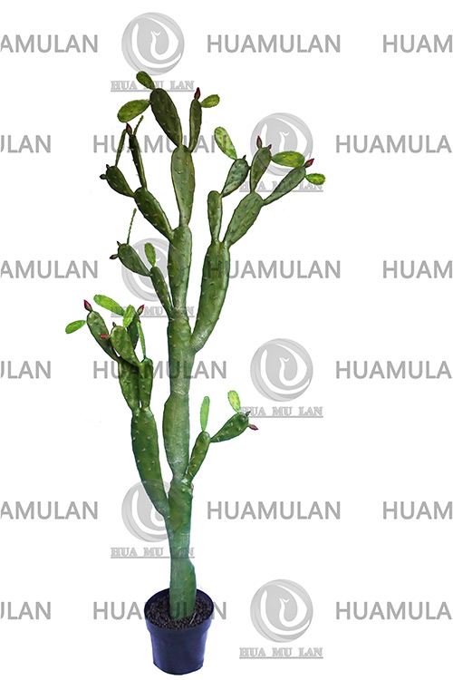 -(27-213CM)